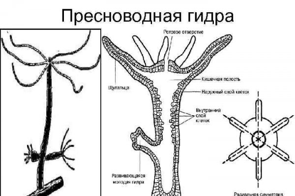 Что продают на сайте кракен