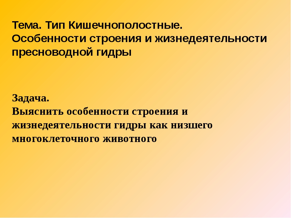 Через какой браузер можно зайти на кракен