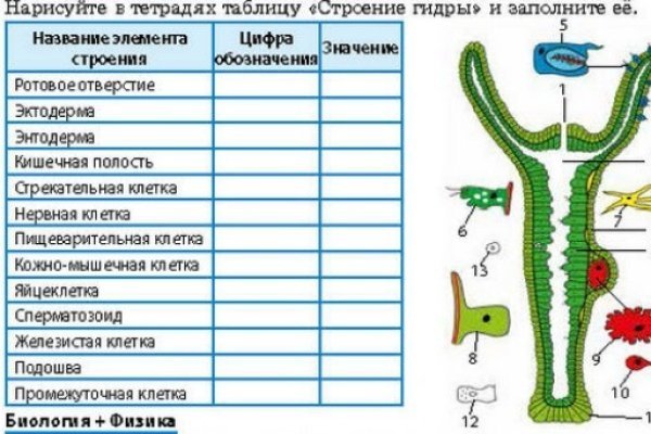 Как пополнить баланс на кракене